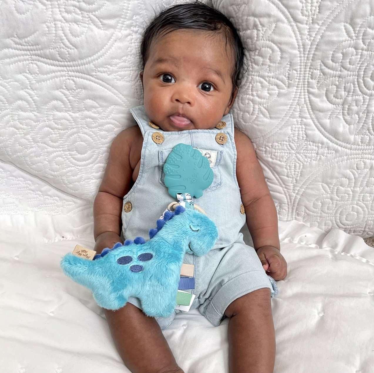 NEW Itzy Pal™ Plush + Teether Baby in Styles