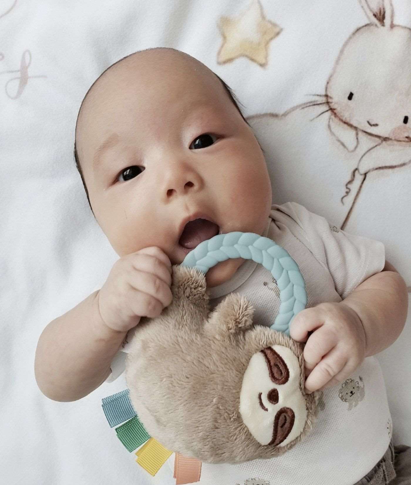 NEW Ritzy Rattle Pal™ Plush Rattle Pal with Teether Baby in Styles