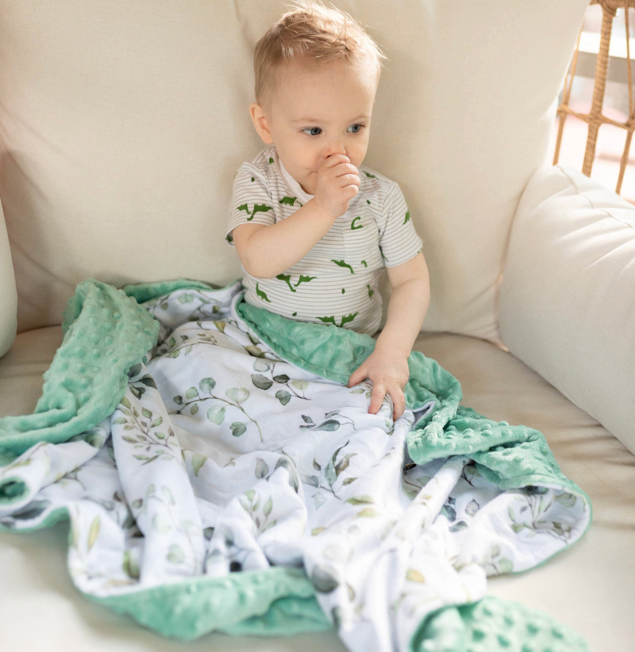 Eucalyptus premium minky blankets Baby in Styles